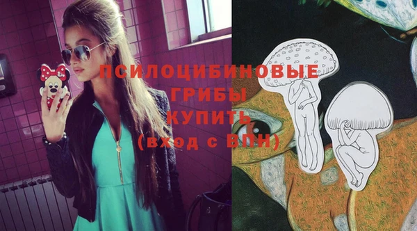mix Коряжма