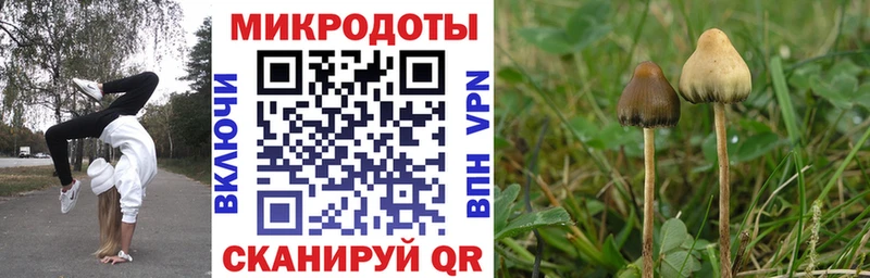 Галлюциногенные грибы MAGIC MUSHROOMS  Купить закладки  Коркино 